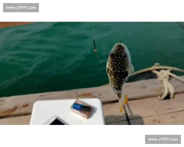 岱山海钓者意外发现：不同鱼类竟有独特 “语言”，百年渔谚暗藏声学密码