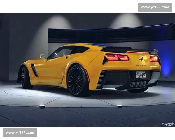 天赋与汗水交织，新西兰电竞代表队潜力无限！