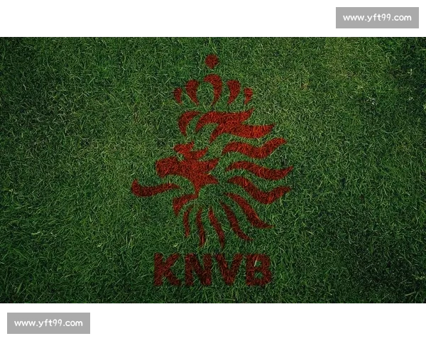 橙色风暴来袭！荷兰队重返世界杯，能否再现辉煌