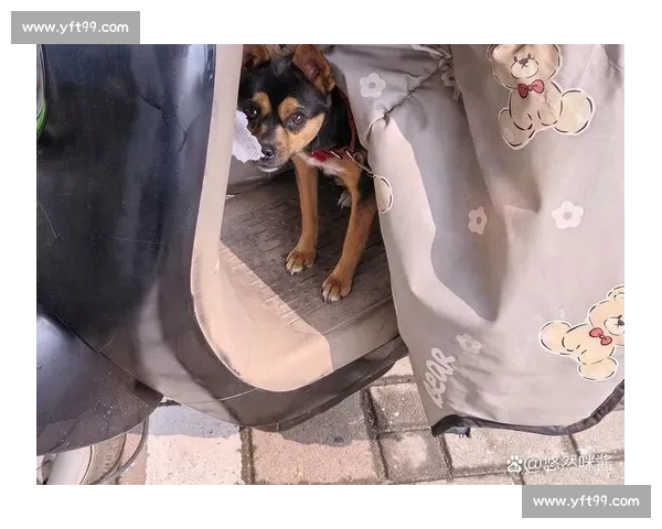 别再说AI没有感情，看看它在电竞赛场上的“愤怒”瞬间！